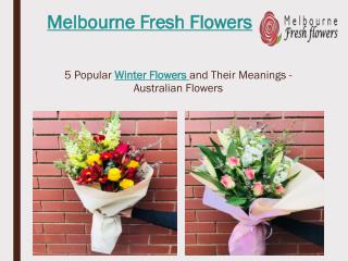Winter Flowers in Australia and Their Meanings – Melbourne Fresh Flowers