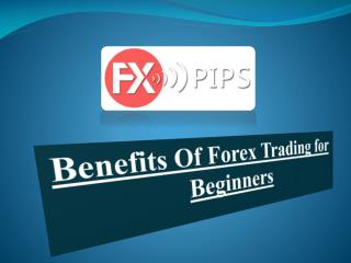 Benefits Of Forex Trading for Beginners