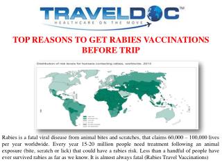 TOP REASONS TO GET RABIES VACCINATIONS BEFORE TRIP