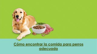 Cómo encontrar la comida para perros adecuada