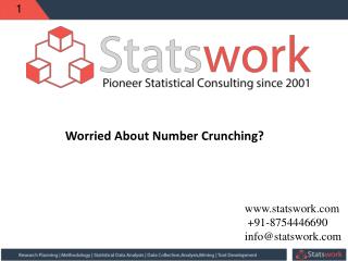 Worried About Number Crunching? | statswork.com