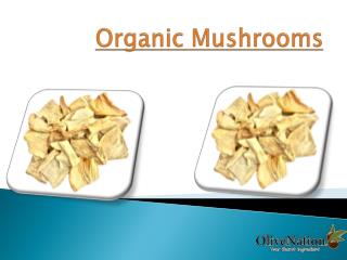 Find Organic Mushrooms Online in USA