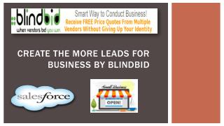 Get the outstanding leads generation services by Blindbid