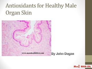 Antioxidants for Healthy Male Organ Skin