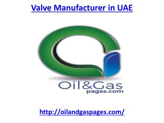 Get the best Valve manufacturer in UAE