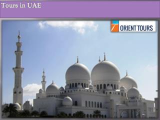 Tours in UAE