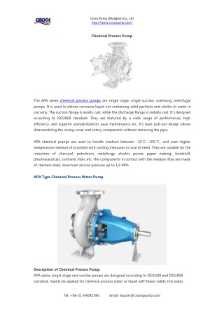 Chemical Process Pump