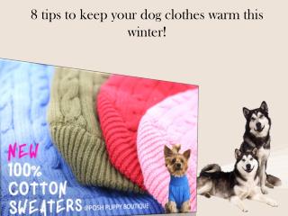 8 tips to keep your dog clothes warm this winter!