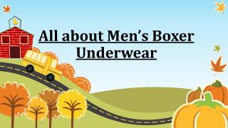 Mens Boxer Underwear - Things You Should Know