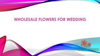 Wholesale Flowers for Wedding