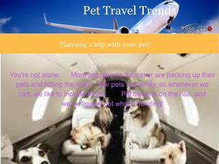 Planning A Trip With Your Furry Friend ?