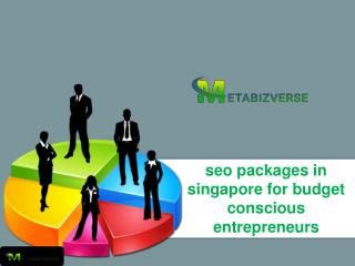 seo packages in singapore for budget conscious entrepreneurs