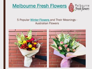 Send Winter Flowers to Australia– Melbourne Fresh Flowers