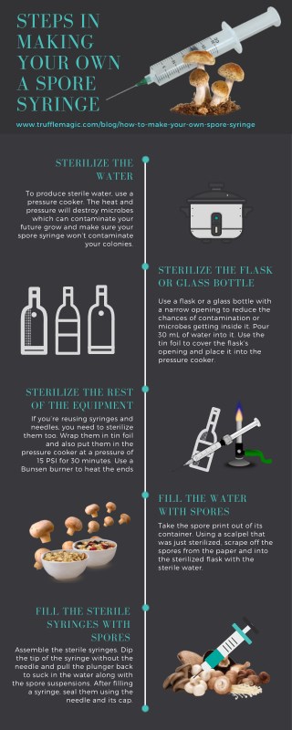 Steps in Making Your Own a Spore Syringe