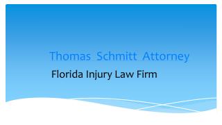 Florida Injury Firm, Thomas Schmitt Attorney