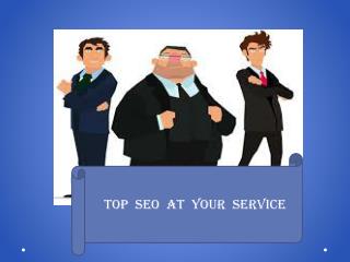 Top SEO at your SERVICE