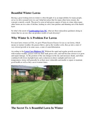 How to Make a Beautiful Lawn in Winter