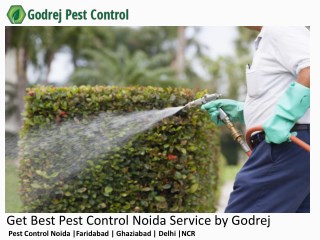 Get Best Pest Control Noida Service by Godrej