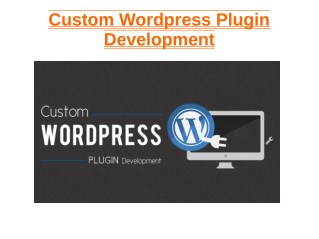 Custom Wordpress Plugin Development Services