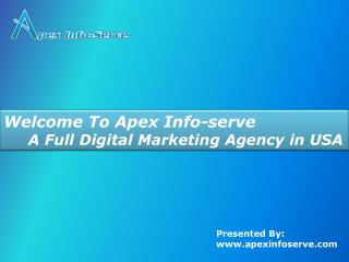 Apex info serve - A full digital marketing agency in USA