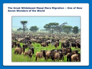 The Great Wildebeest Masai Mara Migration – One of New Seven Wonders of the World