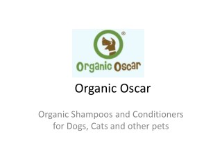 Organic Shampoo Wholesale