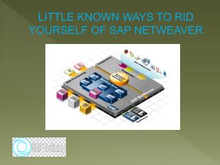 LITTLE KNOWN WAYS TO RID YOURSELF OF SAP NETWEAVER