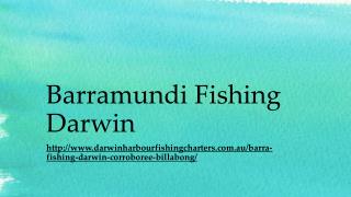 Darwin Barra Fishing