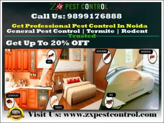 Get Up To 20% OFF in Pest Control Noida | Termite | Cockroaches