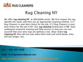 Rug cleaning NY