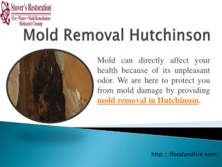 Mold Removal Hutchinson