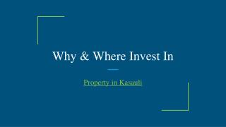 Kasauli real estate