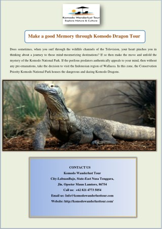Make a good Memory through Komodo Dragon Tour