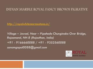 Indian Marble Royal Fancy Brown Figrative