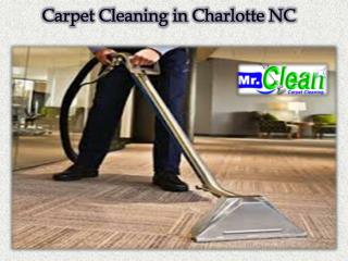 Carpet Cleaning in Charlotte NC