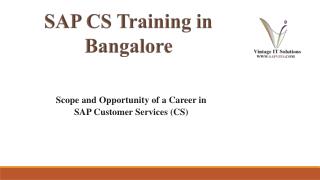 SAP Customer Service Module PPT