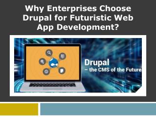 Why Enterprises Choose Drupal for Futuristic Web App Development?
