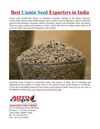 Best Cumin Seed Exporters in India