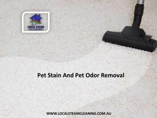 Pet Stain and Pet Odor Removal