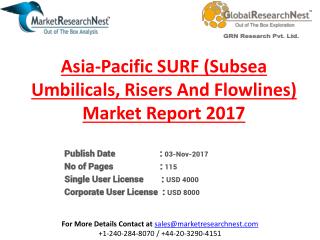Asia-Pacific SURF Market Size, Status, Top Players, Trends and Forecast 2022