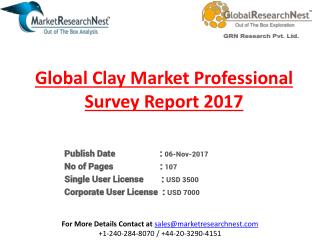 Clay Market Professional Survey Report 2017 to 2022