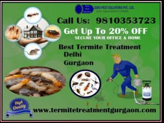 Outstanding Services Provider In Termite Treatment Gurgaon | Termite Control Gurgaon