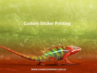 Custom Sticker Printing - Chameleon Print Group