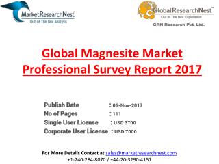 Magnesite Market Professional Survey Report 2017