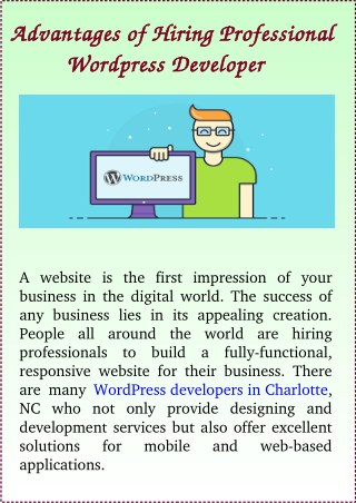 Advantages of Hiring Professional Wordpress Developers
