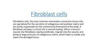 fibroblast cells