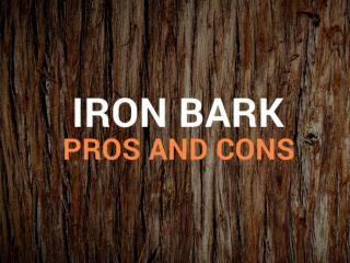 Pros and Cons About Ironbark Firewood Sydney