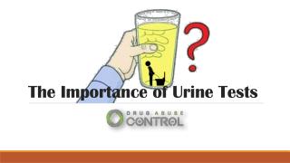 The Importance of Urine Tests