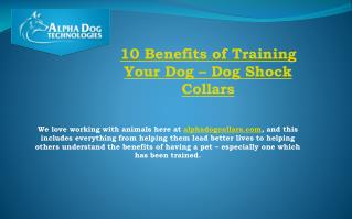 10 benefits of training your dog – Dog Shock Collars