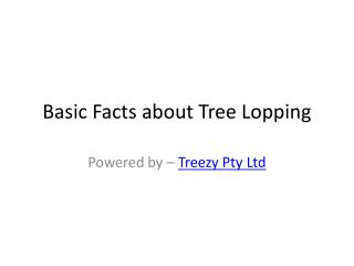 Basic Facts about Tree Lopping